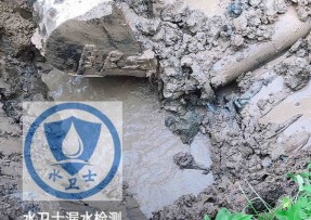 桃城区水管漏水检测公司5